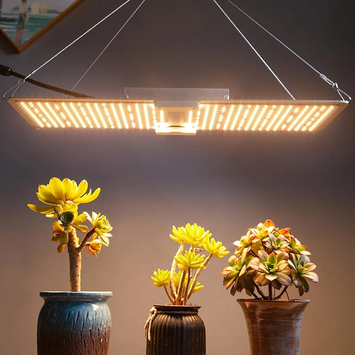 LED Full Spectrum Indoor Grow Light Panel - 220W - Dimmable - Image 9