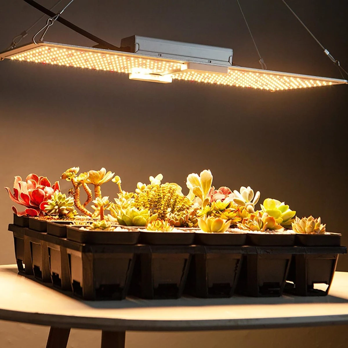 LED Full Spectrum Indoor Grow Light Panel - 220W - Dimmable - Image 11