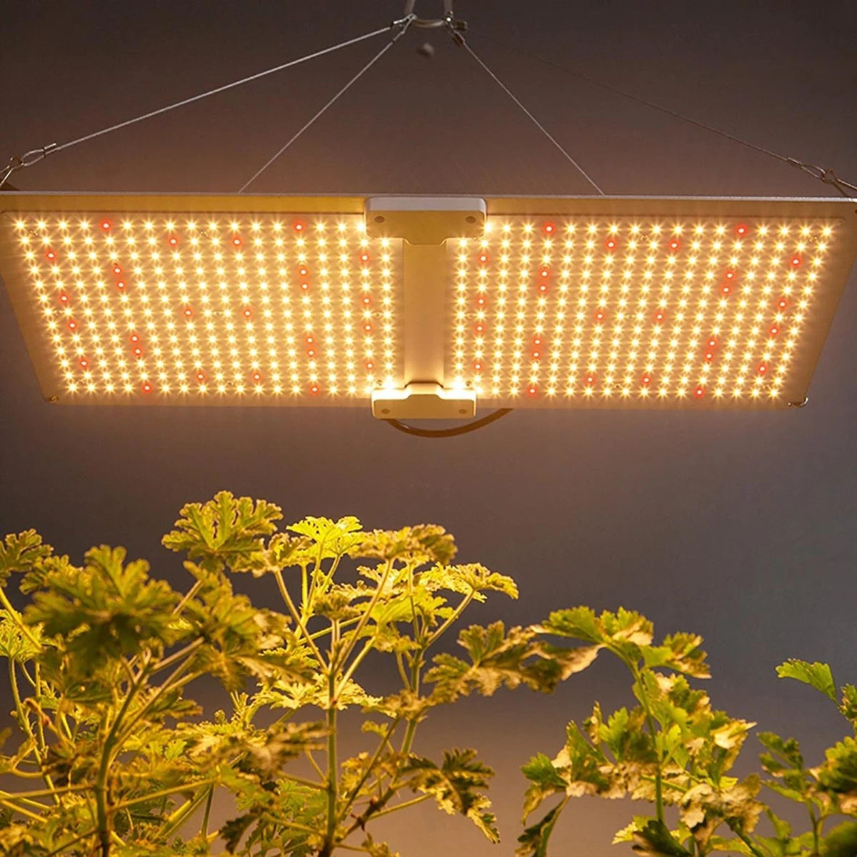 LED Full Spectrum Indoor Grow Light Panel - 220W - Dimmable - Image 10